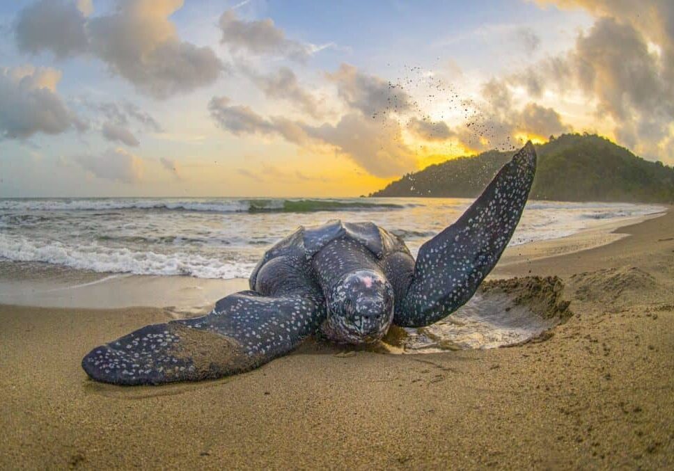 Ben J. Hicks / benjhicks.com