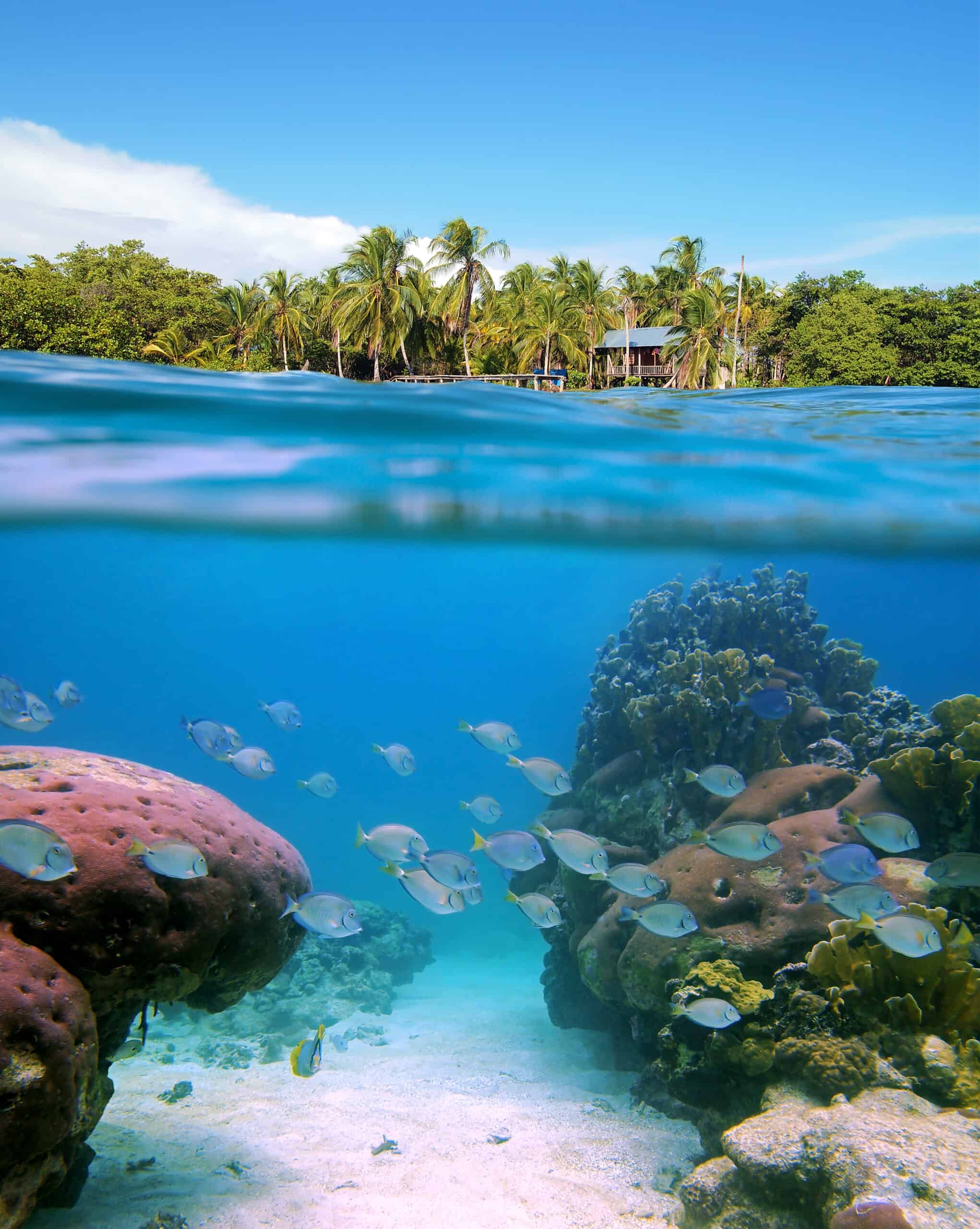 Bocas del Toro 2