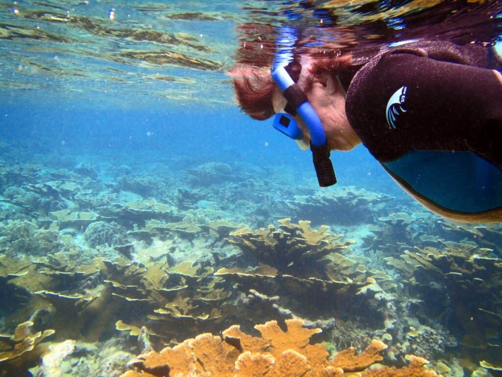 Snorkeler observing vibrant coral reefs in clear shallow waters off Little Corn Island, Nicaragua.