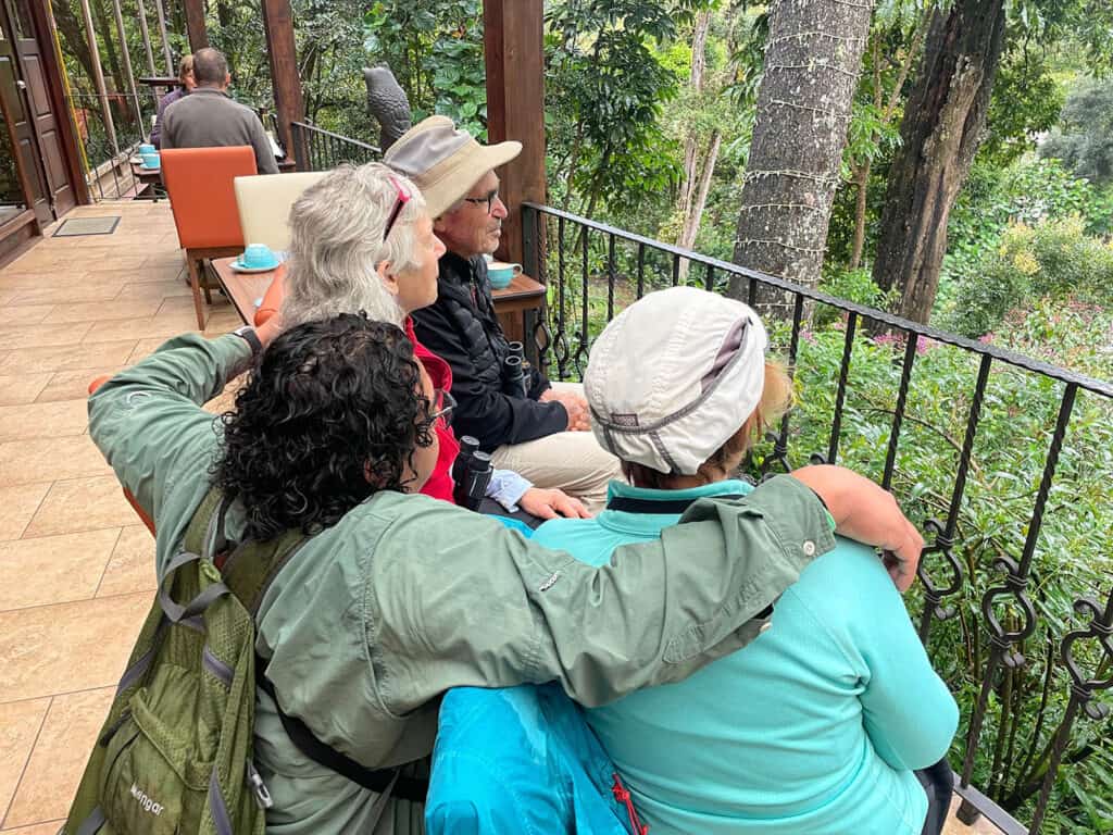 wildlife watching at breakfast