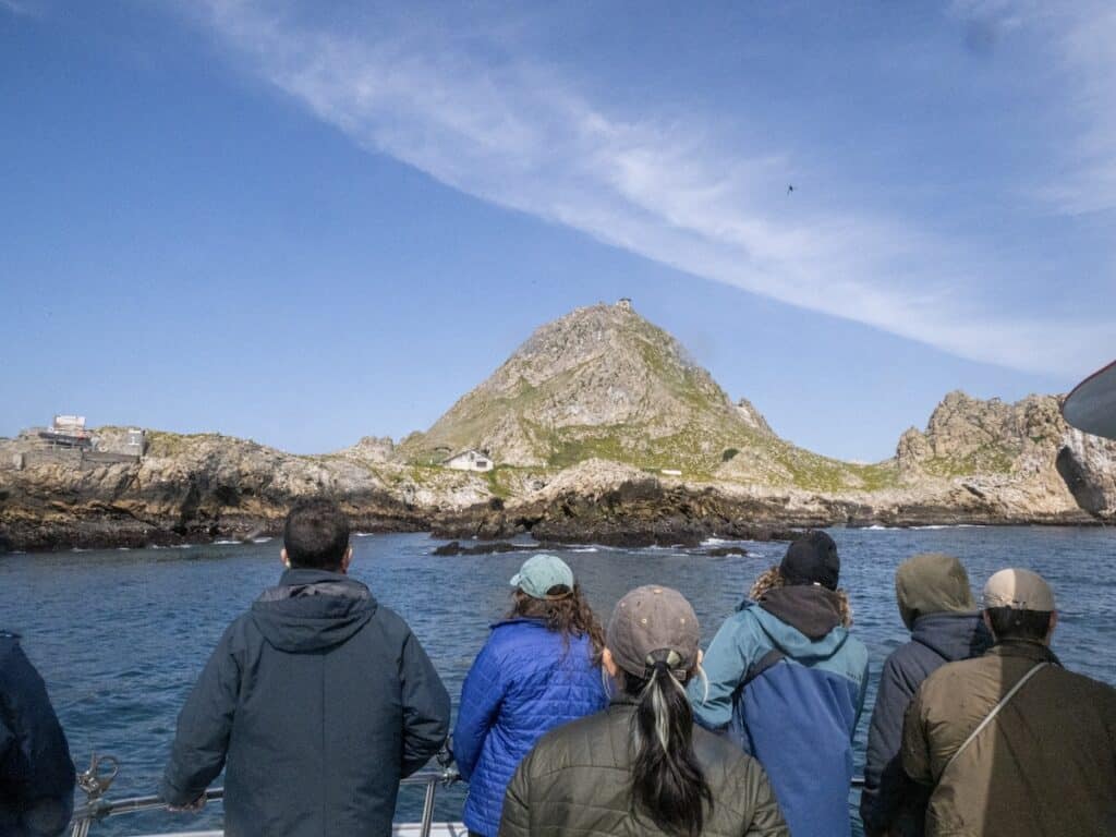 Guests looking out at islands over side of boat in Farallons