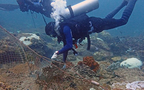 underwater net cleanup in malaysia