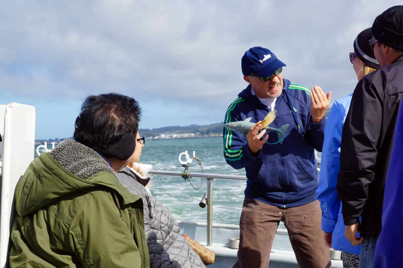 whale watching naturalist