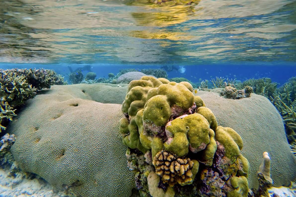 Solomon Islands snorkeling trip